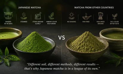 What Makes Japanese Matcha Different from Other Countries