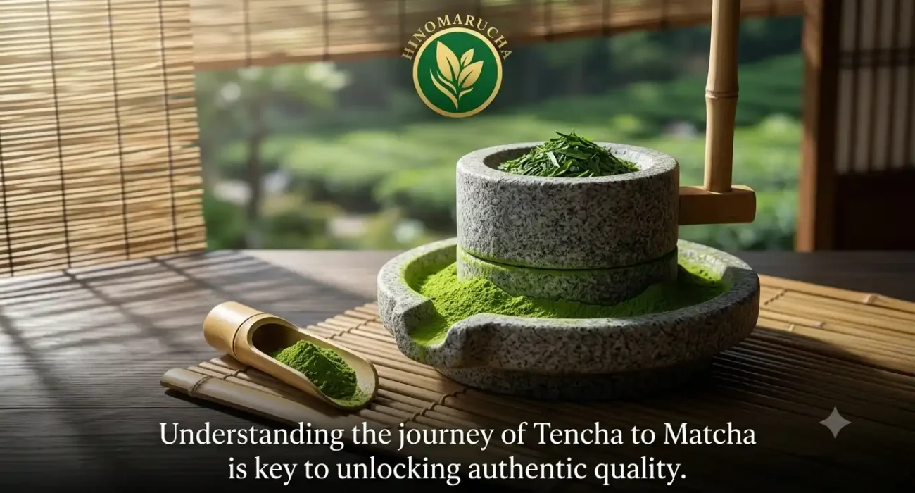 Tencha Farming Regions of Japan A Quick Guide